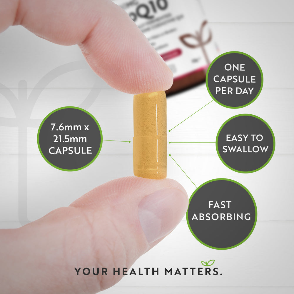 Co Enzyme Q10 (CoQ10)