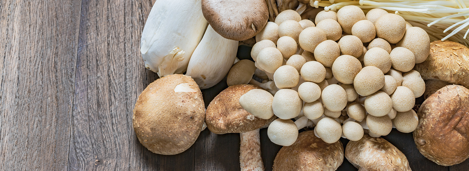 Advanced Mushroom Superblend